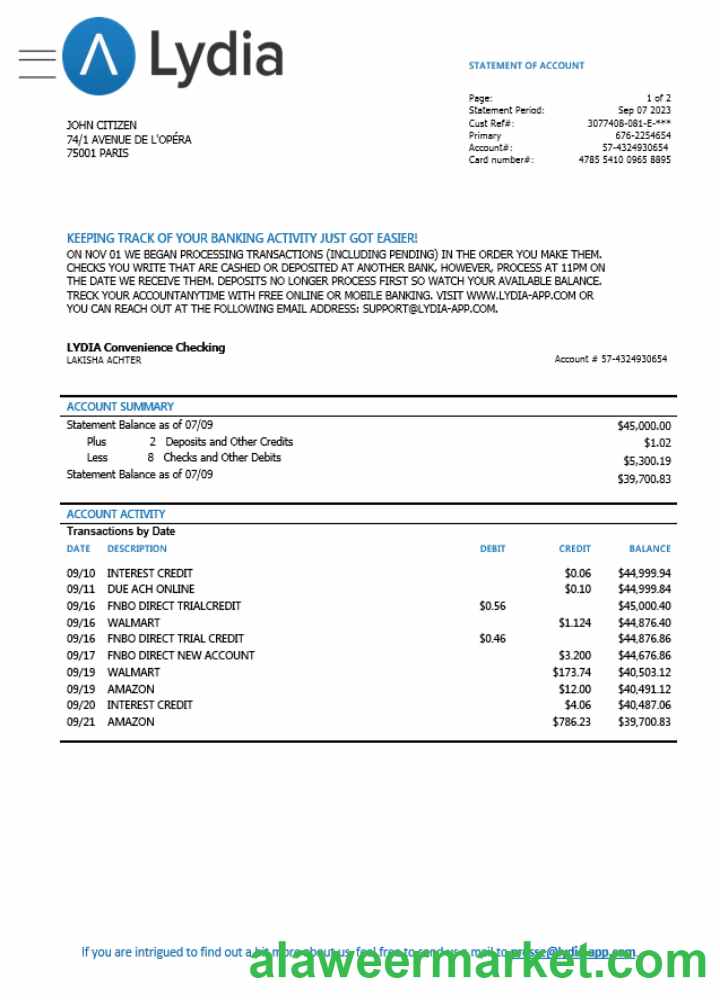 France Lydia Noir bank card statement Word and PDF template scr